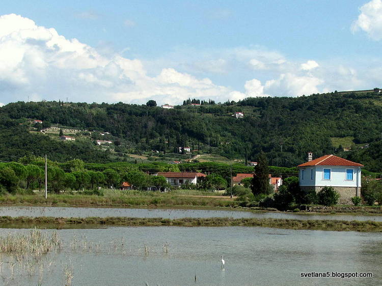 Strunjan Slovenija