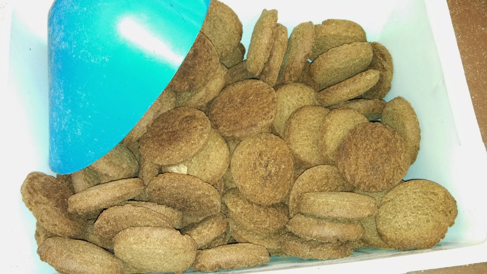 Are Ginger Snap Cookies Bad For Dogs