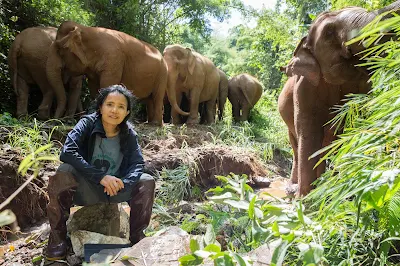 Save Elephant Foundation, in Collaboration with Asian Elephant Projects, hosts first-ever ‘Elephant Travel Mart 2018’ to Promote Ecotourism in Thailand