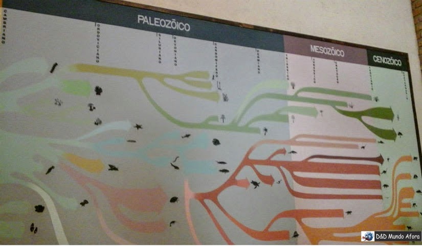 Museu de Histórias Naturais da UFMG - Belo Horizonte Museu de Histórias Naturais da UFMG - Belo Horizonte
