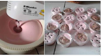 Resep Membuat Ice Cream Hasil Modifikasi Bunda Nanik Wibisono dari Resep Pak Tanu, Lembuuut Banget