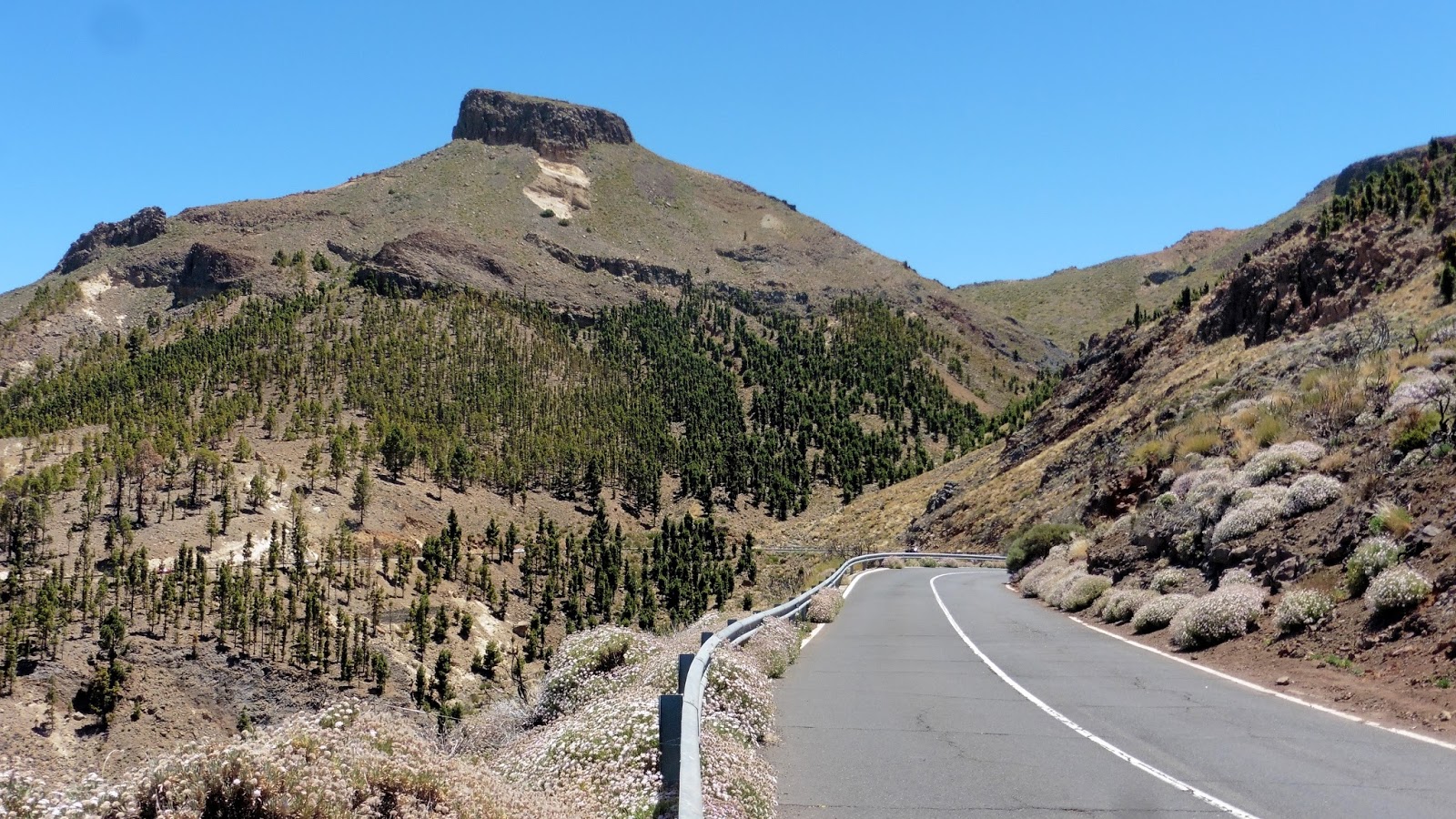 Tenerife Rambler Walking in Tenerife Climbing El Sombrero
