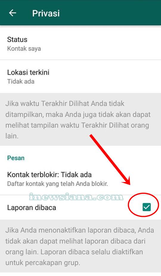 Cara Baca Whatsapp Centang Satu Tanpa Ketahuan Pengirim