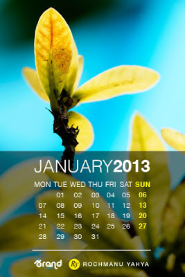 Free Collection Wallpaper Calendar of January 2013 iphone 4