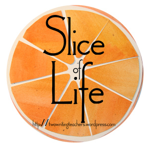 Slice of Life Writing Community