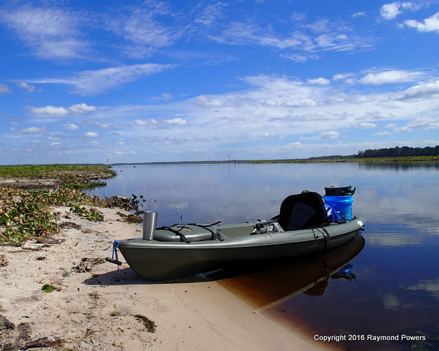 PURE FLORIDA Rodman Reservoir EXPOSED! A Water Level View