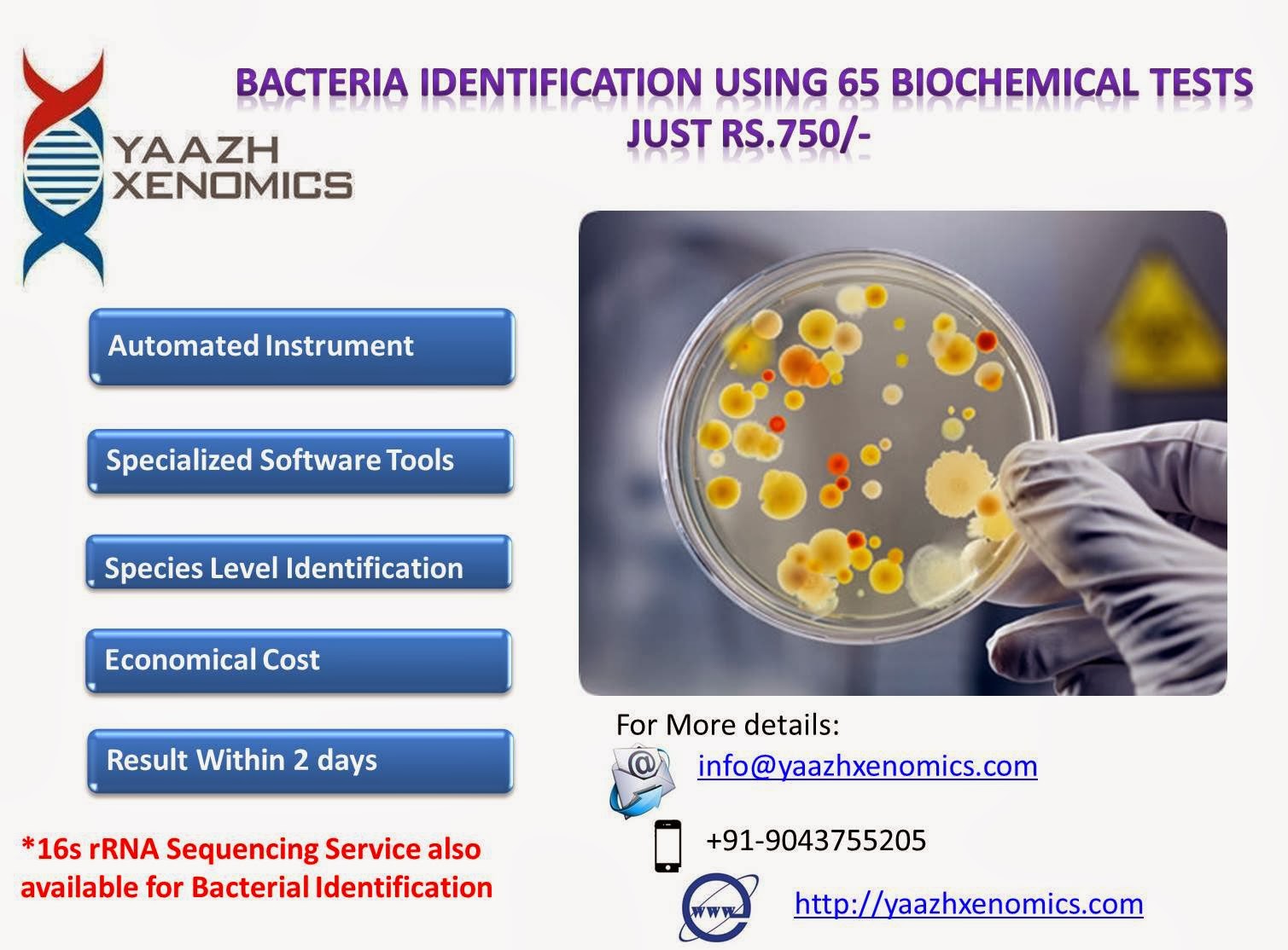 Bacteria identification. Bacteria identification. Bacteria identification. Respiration of bacteria. Biochemical identification of bacteria.