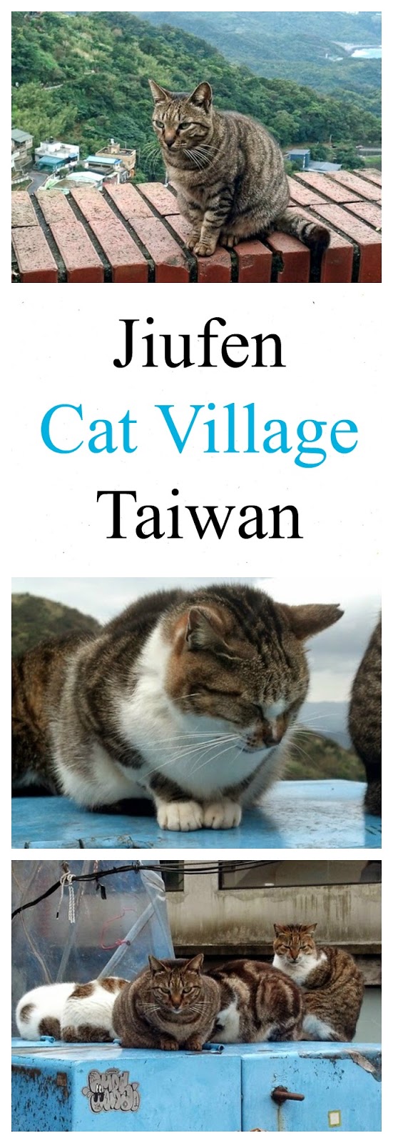 what to do in taiwan