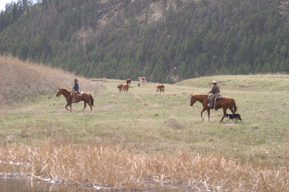 Lac Le Jeune Life In Our Community Ajax Mine and Lac Le Jeune Road