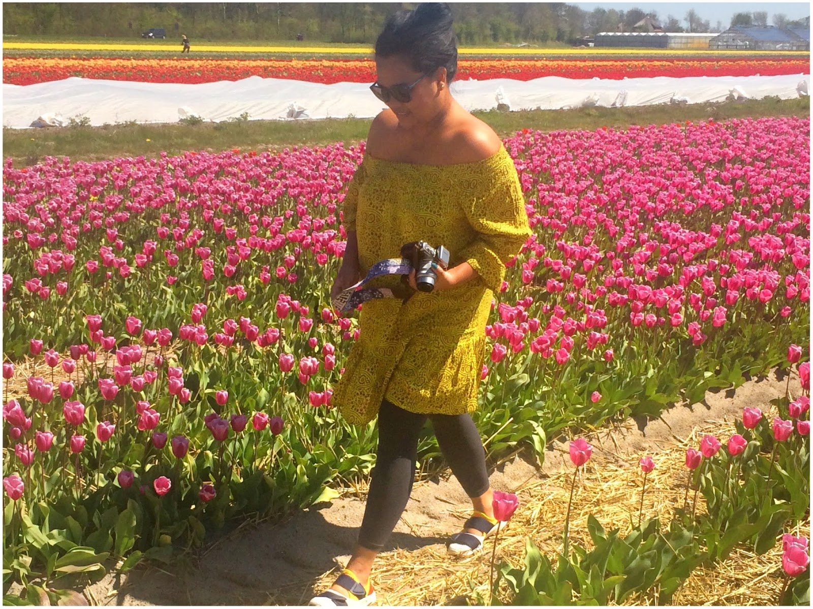 Travel Blogger Indonesia Jalan2liburan Ladang Tulip Di Desa