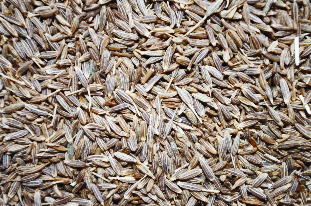 Cumin Rezepte, Grissini Cumin Perfekter Toller