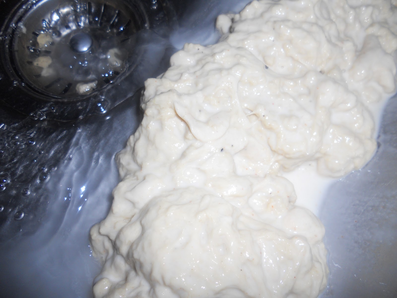 How to make seitan (wheat gluten protein food)