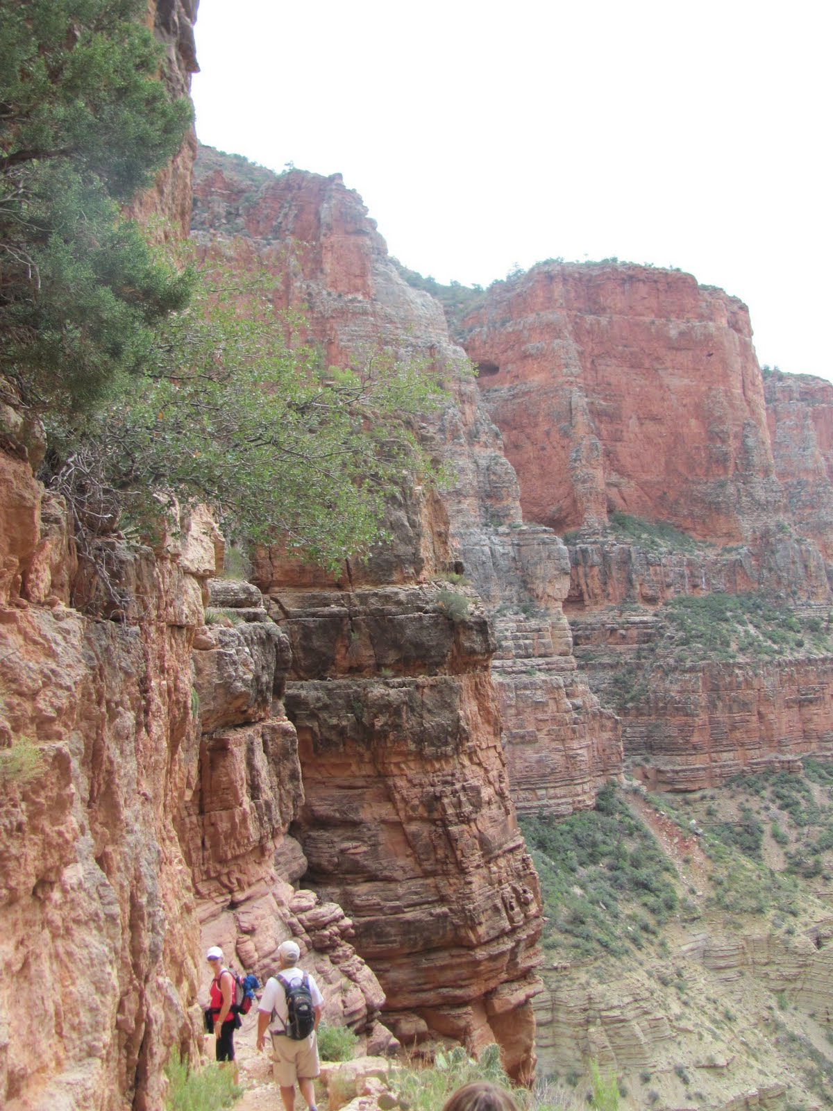 Download Paul Scott Mowrer Pics