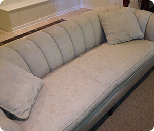 Professional Upholstery Cleaning Services