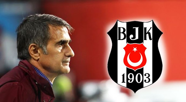 Şenol Güneş kariyeri ve biyografisi Şenol Güneş kimdir?