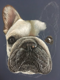03-Piggy-The-French-Bulldog-Frenchie-WIP-Ivan-Hoo-Animals-Translated-to-Realistic-Drawings-www-designstack-co