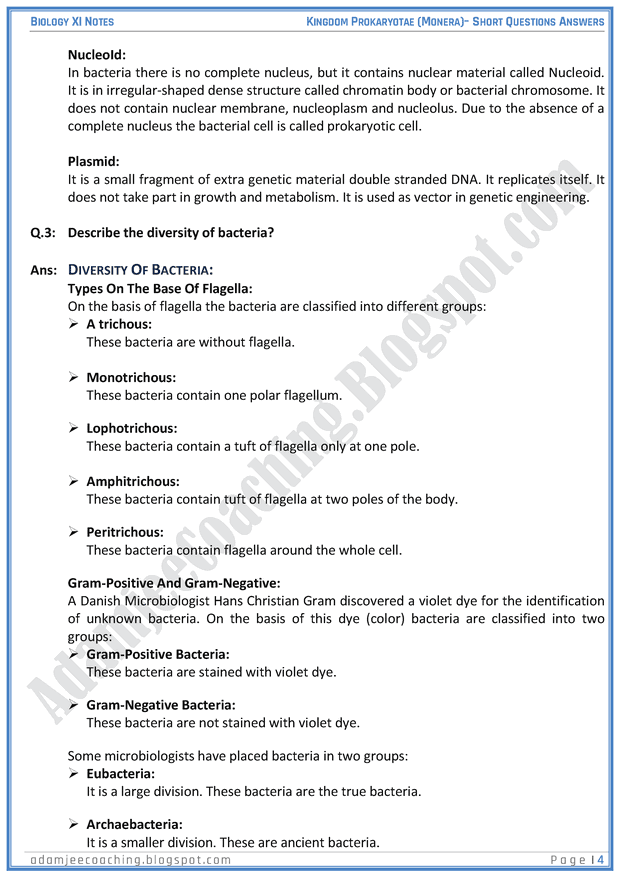 kingdom-prokaryatae-monera-short-question-answers-biology-11th