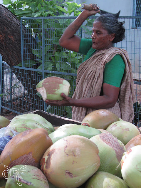 woman cutting coconuts