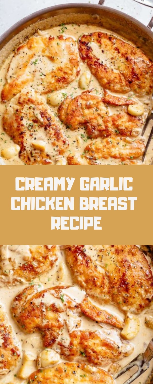CREAMY GARLIC CHICKEN BREAST RECIPE CREAMY GARLIC CHICKEN BREAST RECIPE