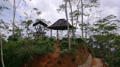Kebun Teh Nglinggo Kebun Teh Nglinggo