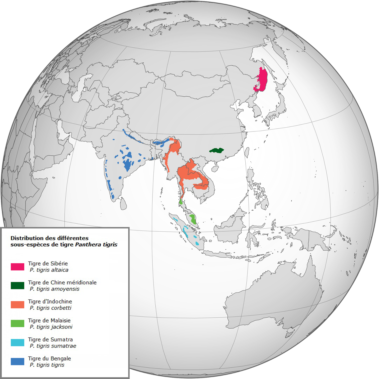 The range of every existing tiger's subspecies