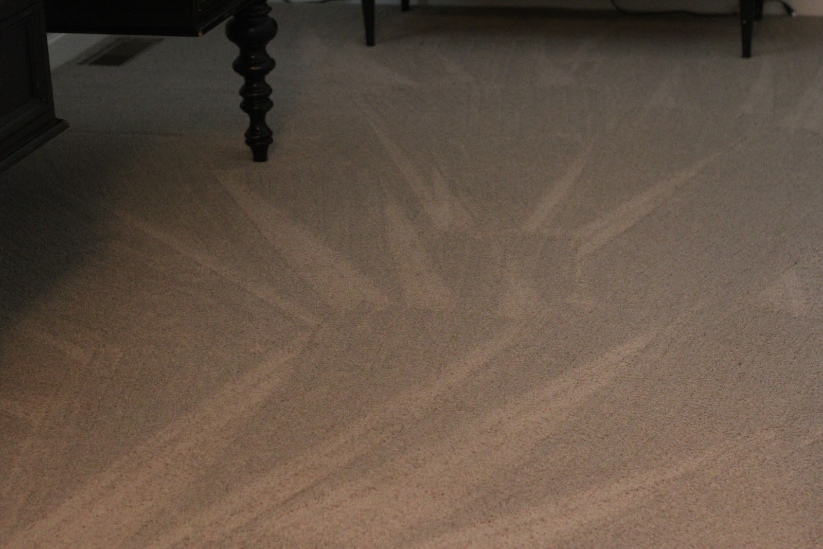 do it yourself divas DIY Deodorize Carpet