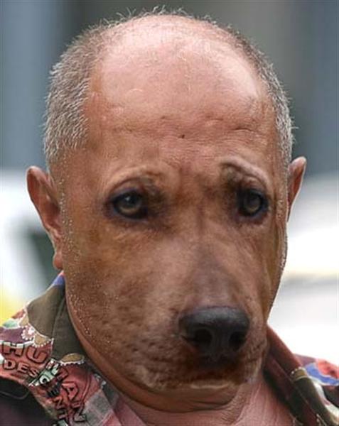 Собака с кроксом на голове фото