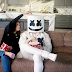 Solta a batida, Marshmello! Selena Gomez explora o melhor de sua voz em "Wolves"