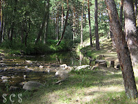 Río Revinuesa (Vinuesa, Soria) Río Revinuesa (Vinuesa, Soria) by Susana Cabeza