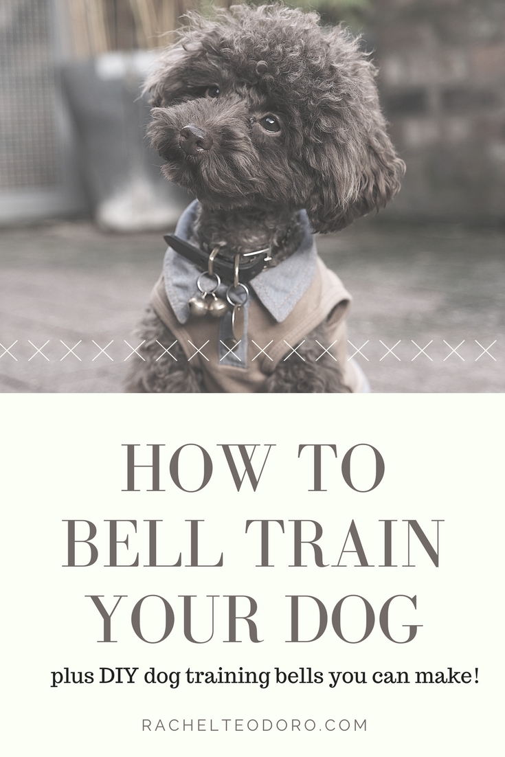 How To Bell Train Your Dog To Go Outside Datfeata Blog Title