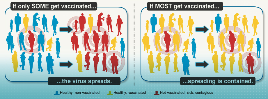 Can A Vaccinated Dog Carry Kennel Cough Can A Vaccinated Dog Carry Kennel Cough