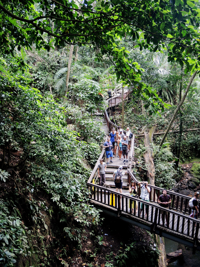 Sacred Monkey Forest Sanctuary, taman monyet, Mandala Wisata Wanara Wana