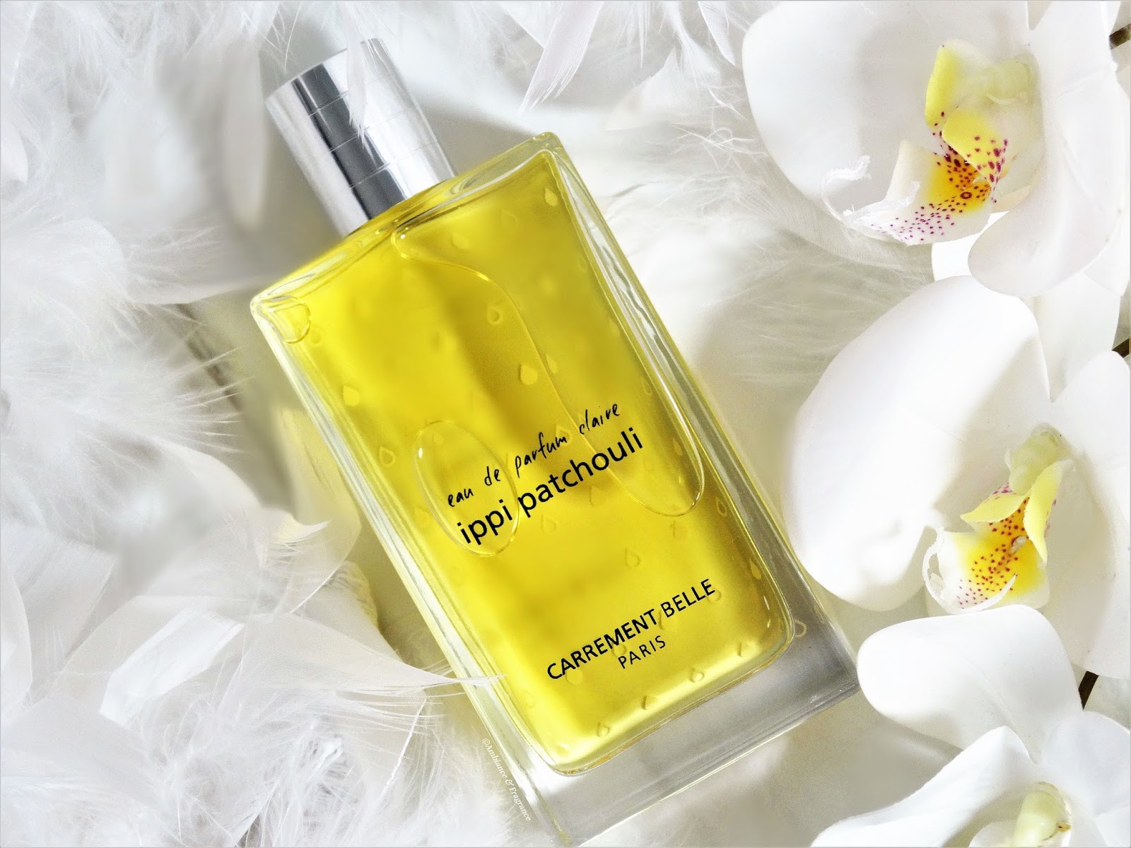 CARRÉMENT BELLE IPPI PATCHOULI [AVIS PARFUM]