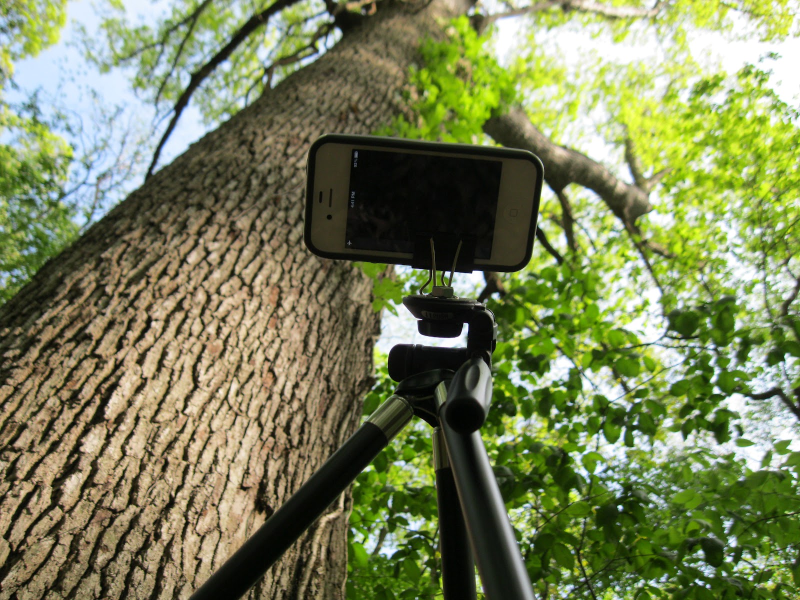 My first nature time lapse on an iPhone [Stellar Neophyte Astronomy Blog]