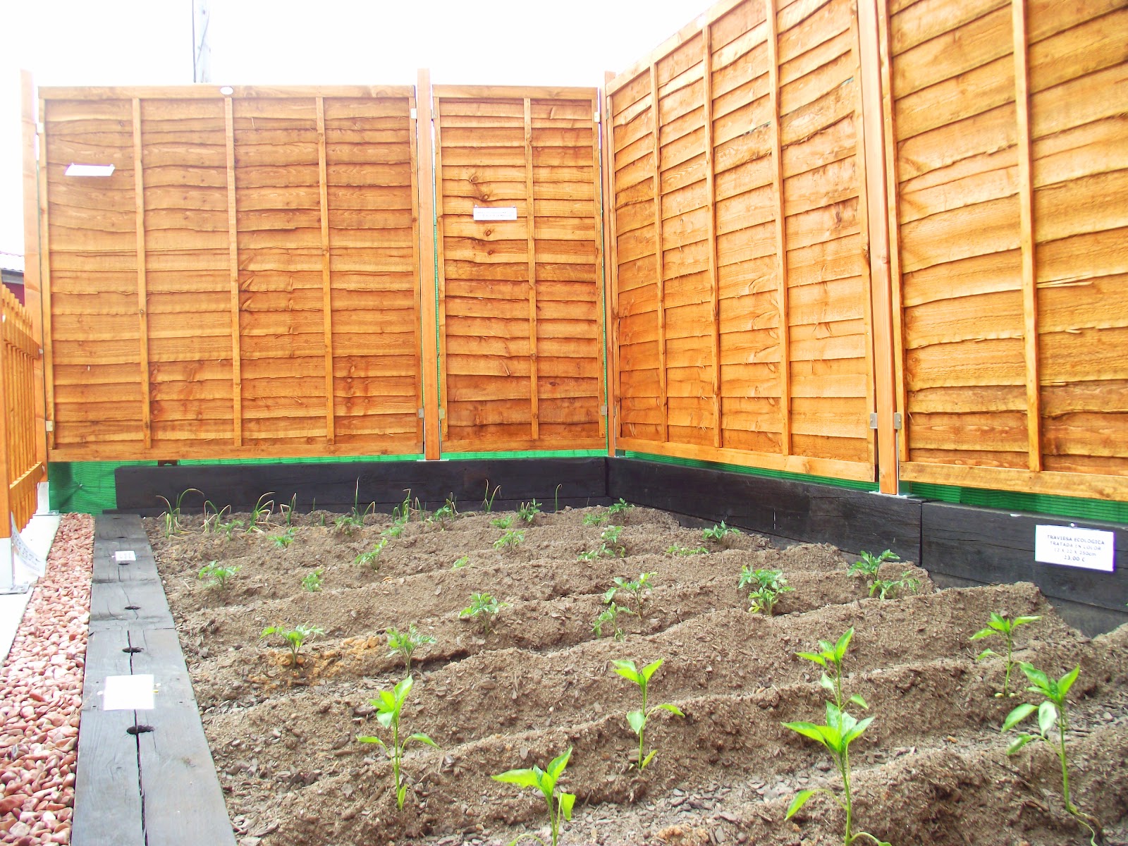 Garden House : Como crear tu propio huerto