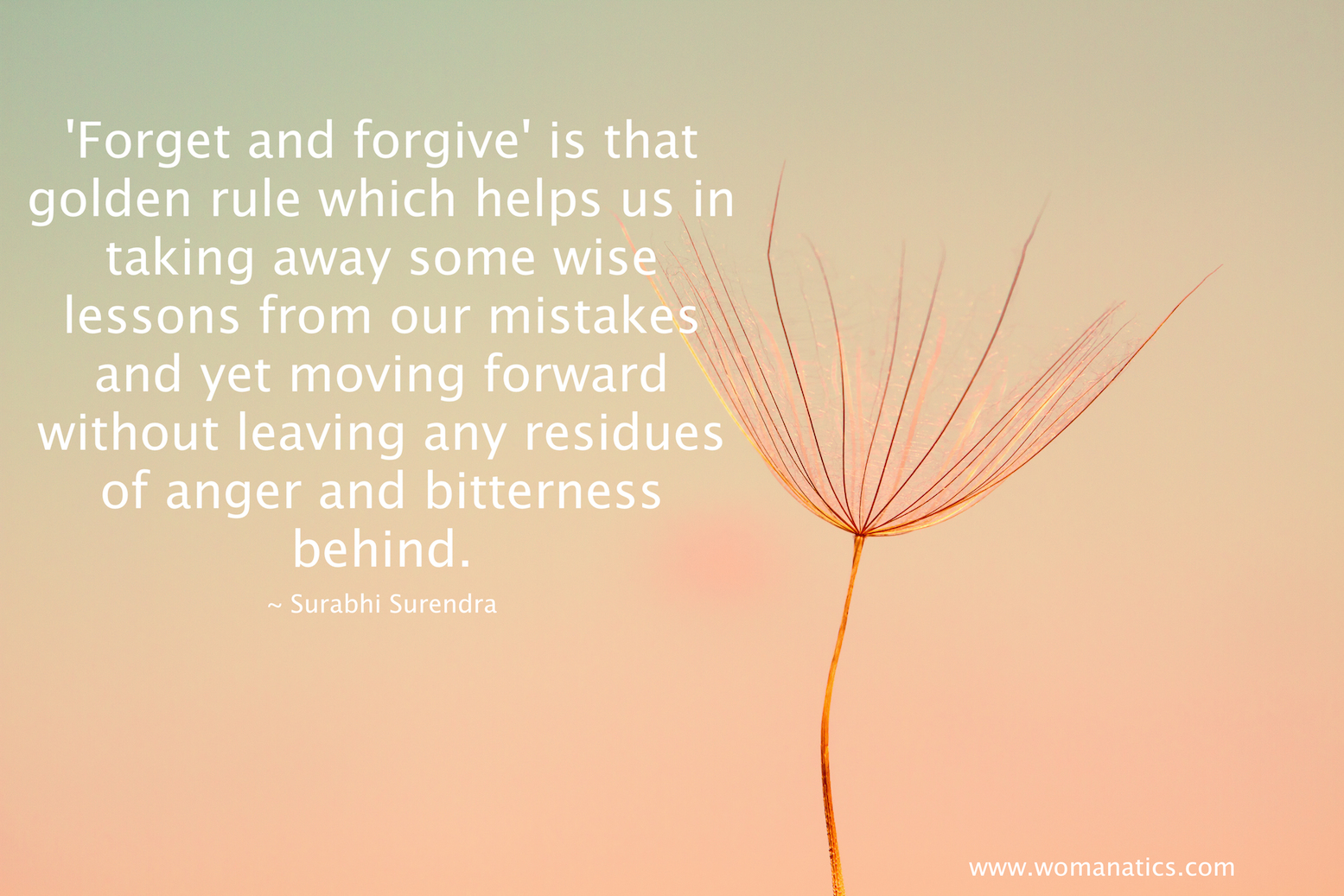 Let Go of The Resentment: Why It Is Important To Forget And Forgive