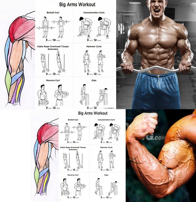 Bodybuilding110: May 2018