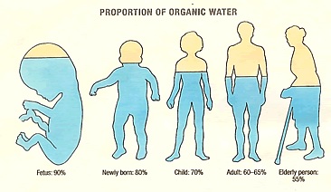 no nonsense nita: Nutrition and Hydration Week 2016