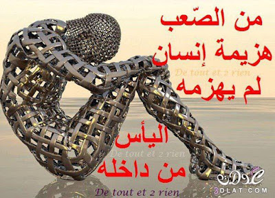 3dlat.com_14157264422