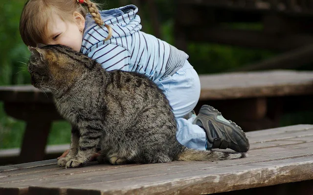 Kind geeft kat een knuffel