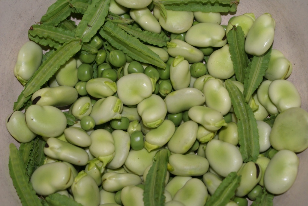 Tales from Swallow Farm Broad beans, peas and asparagus pea pods with