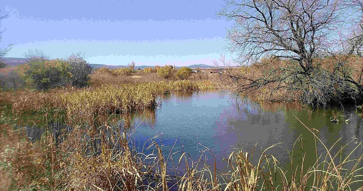 Larry's Random Newsletter Springerville, Arizona