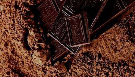 best chocolate powder brands