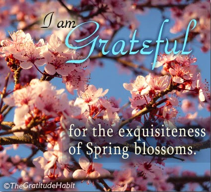 The Gratitude Habit Journal: Grateful for Blossoms of Spring