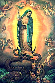 Nossa Senhora de Guadalupe, padroeira do blogue