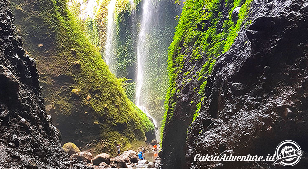 jalur setapak menuju air terjun madakaripura wisata bromo