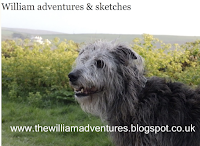 Light-hearted sketching fun with William's blog ⤵︎