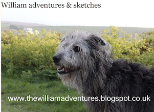 Light-hearted sketching fun with William's blog ⤵︎