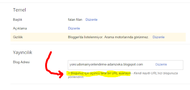 Yöncü Domaini Blogger'a Yönlendirme