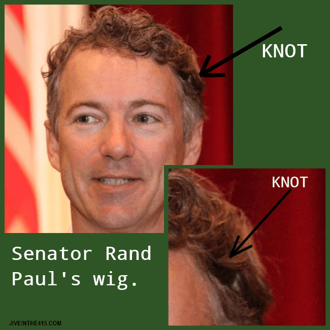 Senator Rand Paul's (R-KY) photo clearly shows a knot where his wig is attached to his head.
